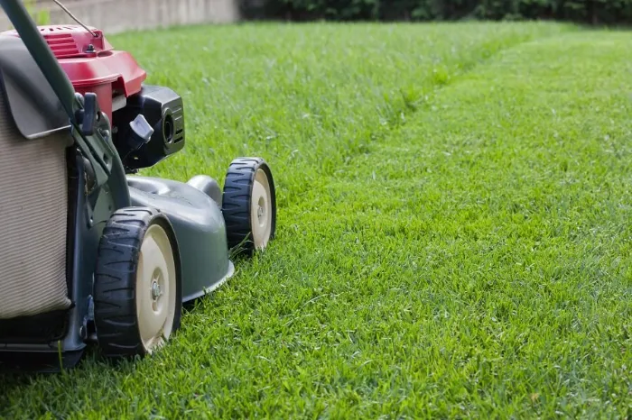 Importance of Regular Lawn Maintenance for Property Value in Riverdale, MD
