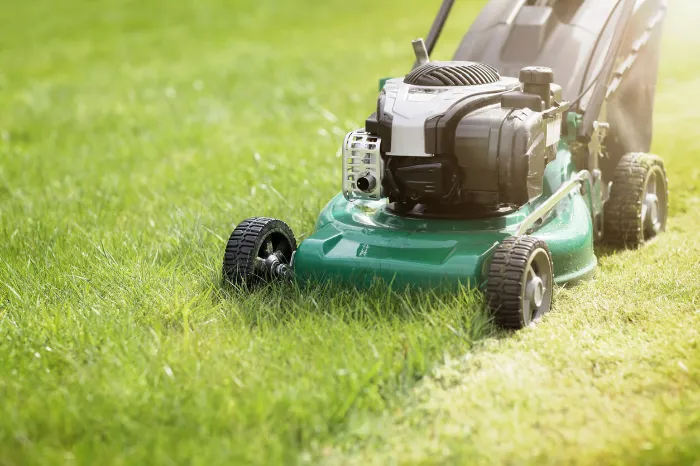 Quality Lawn Maintenance in Riverdale, MD