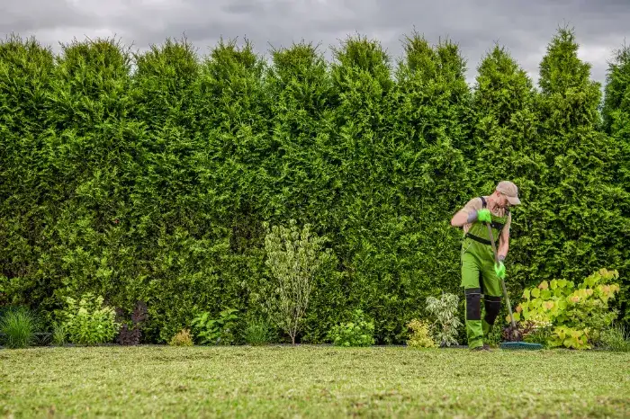 The Role of Seasonal Care in Long-Term Landscaping Success in Riverdale, MD